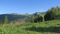 IMG_0490