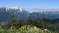 IMG_0491