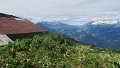 IMG_0495