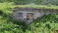 IMG_0499