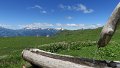 IMG_0512