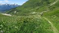 IMG_0528