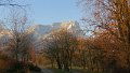 IMG_0655
