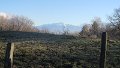 IMG_0673