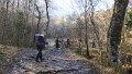 IMG_0686