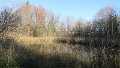 IMG_0692