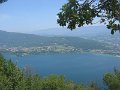 IMG_2029