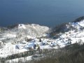 col_chat_chef-lieu-1